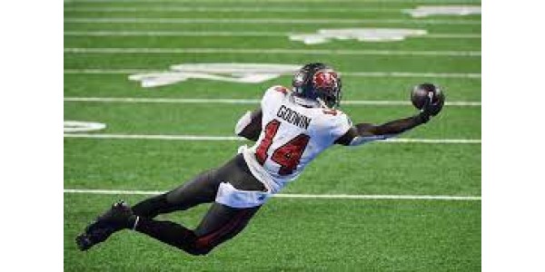 Chris Godwin attend avec impatience le contrat des Buccaneers de Tampa Bay l'année prochaine Chris Godwin attend avec impatience le contrat des Buccaneers de Tampa Bay l'année prochaine